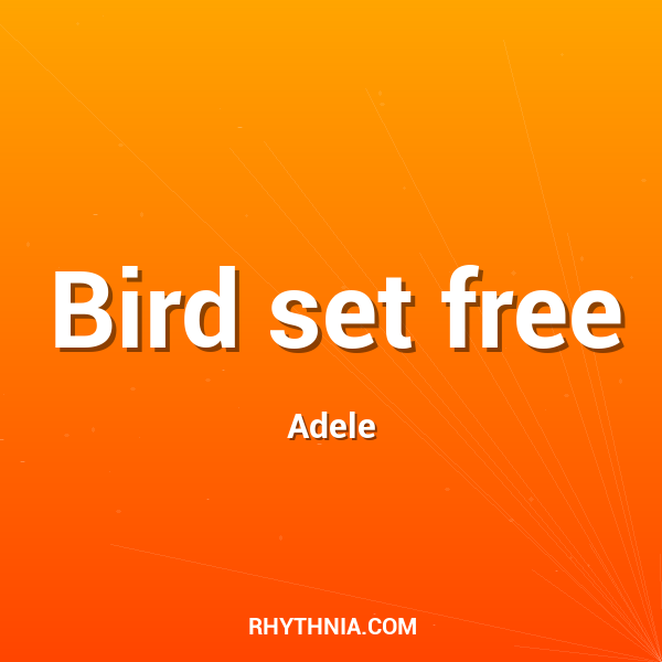 Bird set free