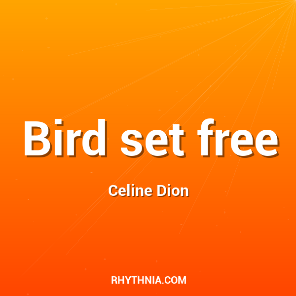 Bird set free