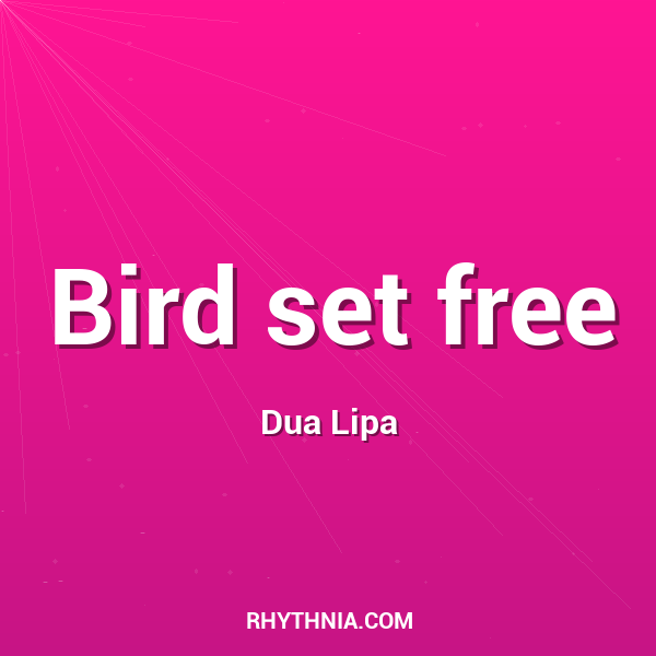 Bird set free