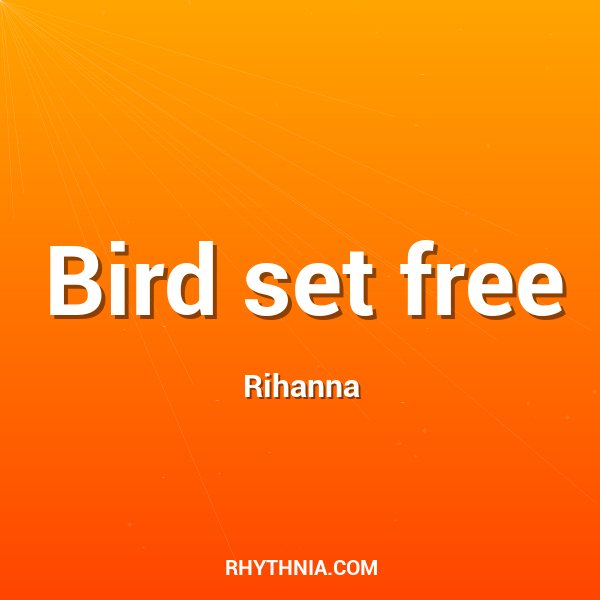 Bird set free