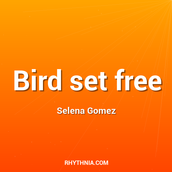 Bird set free