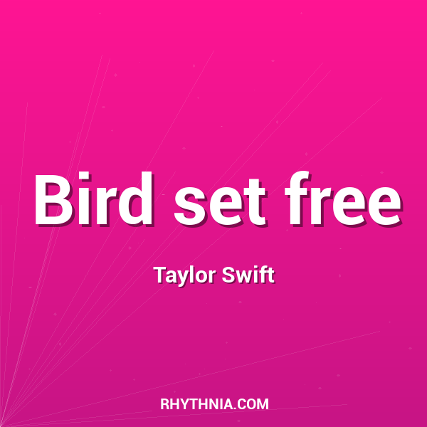 Bird set free