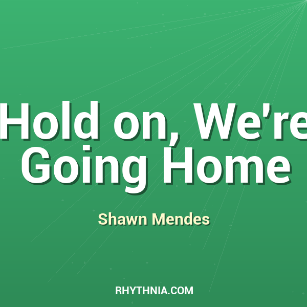 Artwork for Hold on, We're Going Home